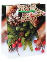 Пакет S Mир в ожидании чудес 11,5x14,5x6см