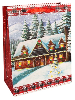 Пакет M 18x23x10см Волшебный дом