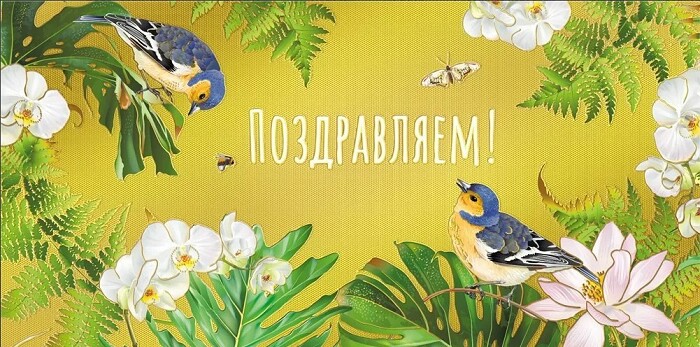 Конверт для денег Поздравляем