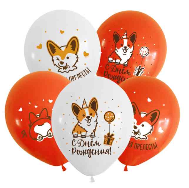 Шар латекс с рисунком 12"ВП пастель СДР Веселый корги (50шт)