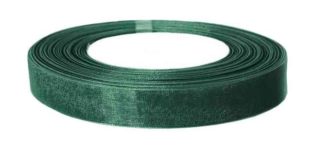 Лента органза 1,2х22,85см Травяной