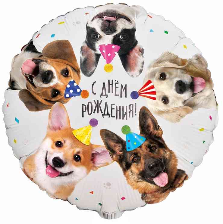 Шар 18", фольга С днём рождения! Собачки