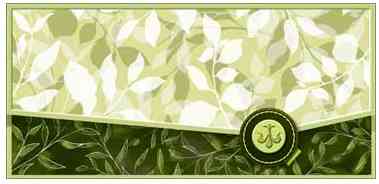 Конверт для денег Без надписи