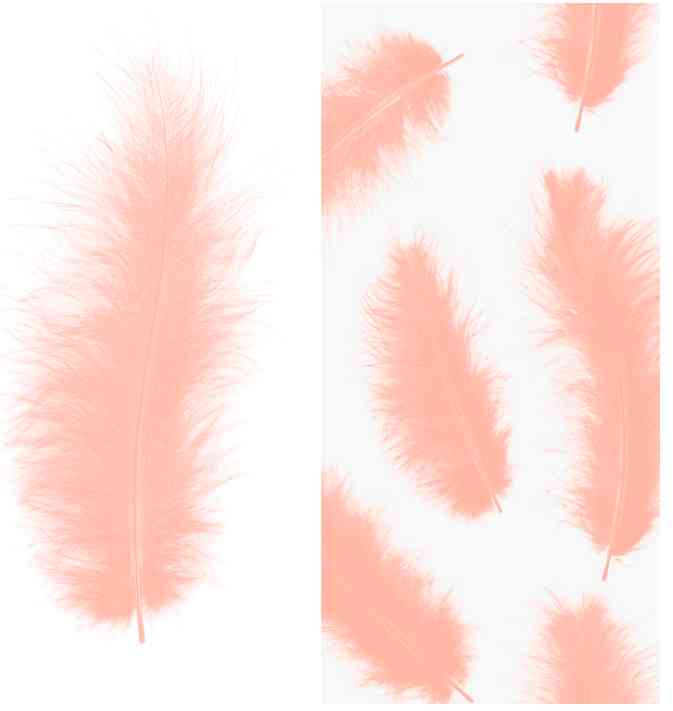 Перья декоративные Нежно-розовый Премиум 12-15см (уп30) ВВ