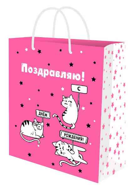 Пакет бумажный S 12х15см Милые котики