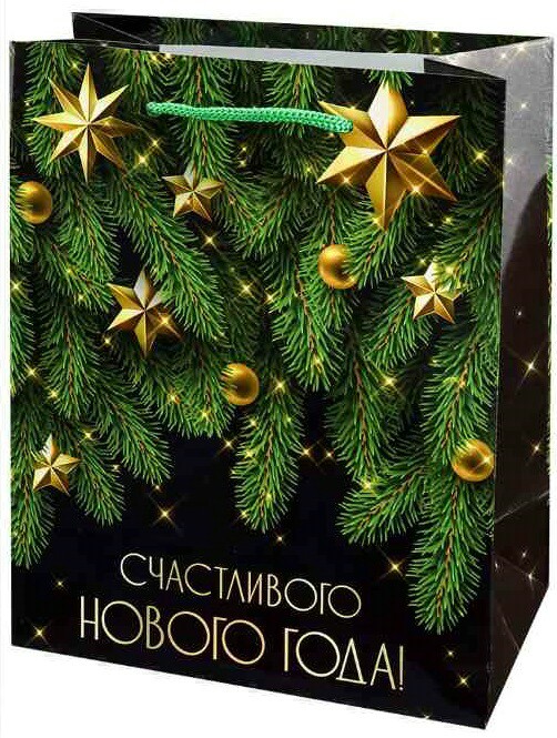 Пакет бумажный 18*23 см Счастливого Нового года