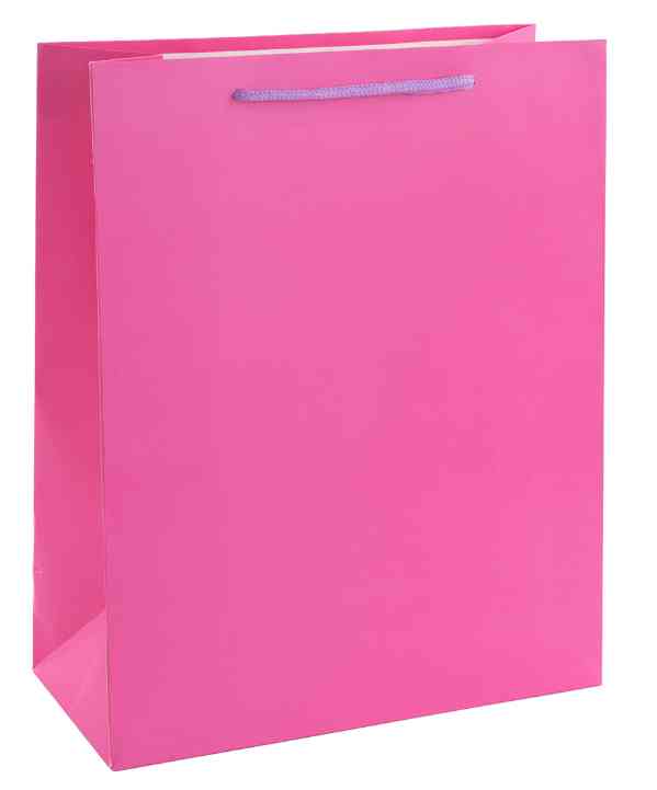 Пакет бумажный L 26х32см Классика Фуше