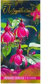 Конверт для денег Поздравляю!