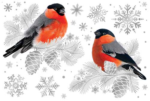 Набор наклеек Снегири