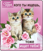 Магнит виниловый Тот, кого ты ищешь