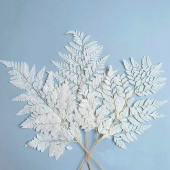 Украшение декор Листья папоротника стабилизированные Белый (уп10) 30см 35гр +- 5гр