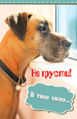открытка Не грусти