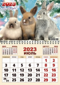 Календарь настен`23 Спираль А3 Три кролика
