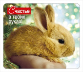 Магнит виниловый А8 Счастье в твоих руках