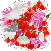 Украшение на скотче Рябина (10шт)