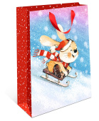 Пакет AB стандарт плюс 26х32х12см