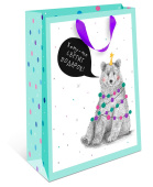 Пакет AB стандарт плюс 26х32х12см