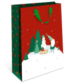 Пакет BC стандарт плюс 18х22,3х10см