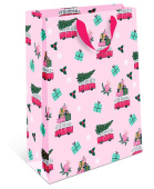 Пакет BC стандарт плюс 18х22,3х10см