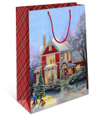 Пакет AB 26х32х12см