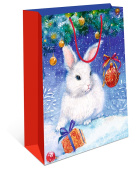 Пакет AB 26х32х12см