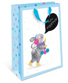 Пакет BC стандарт плюс 18х22,3х10см