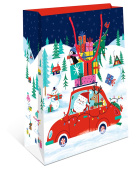 Пакет BC 18х22,3х10см