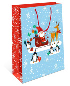 Пакет BC 18х22,3х10см