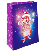 Пакет BC 18х22,3х10см