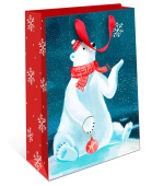 Пакет BC стандарт плюс 18х22,3х10см