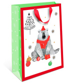 Пакет AB стандарт плюс 26х32х12см