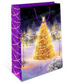 Пакет BC 18х22,3х10см