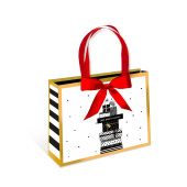 Пакет BC делюкс 23х18х10см