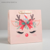 Пакет ламинированный Сказочного Года 22х22х11см