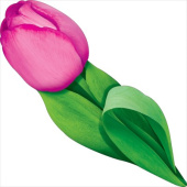 Украшение на скотче Тюльпан (10шт) ОП