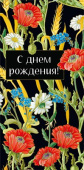 Конверт для денег С Днем Рождения! МирП