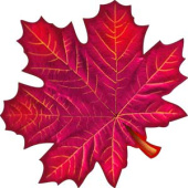 Украшение на скотче Кленовый лист (10шт)