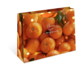 НГ Пакет бумажный AAA 50х40см АртД