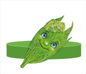 Ободок бумажный Укроп ИмП