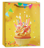 Пакет бумажный XL 31х41см Яркий День Рождения Дизайн №4